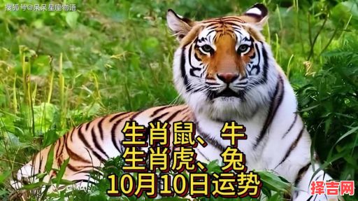 普天同庆日是什么生肖？普天同庆打一动物-第1张图片