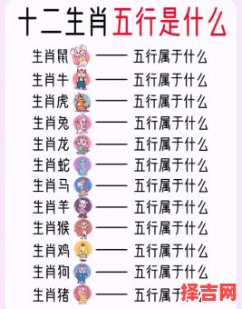 11指的是什么生肖？十一号属什么生肖-第1张图片