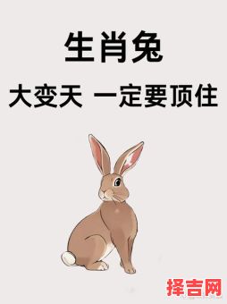 不明事理思眼前是什么生肖？前思后想是什么动物-第1张图片