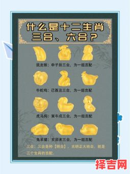 七九大数是什么生肖？七七四九相合数是什么生肖-第1张图片