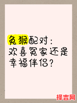 猴前兔后是什么生肖？兔猴组合的成语是什么-第1张图片
