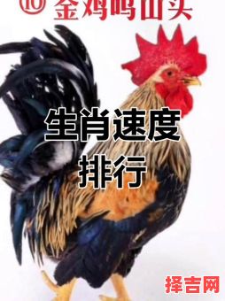 奔跑千里是什么生肖？奔跑打一最佳动物-第1张图片