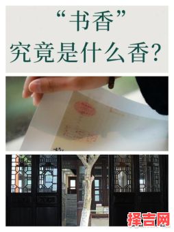 看书香门第是什么生肖？书香门第指一精准生肖-第1张图片