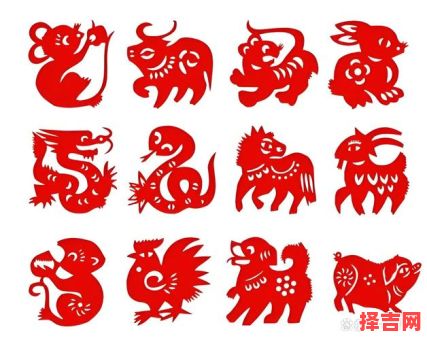 最苦的动物是什么生肖？生肖动物谁最辛苦-第1张图片