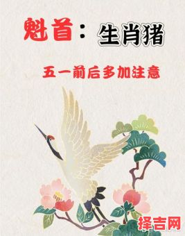 冷水烫猪是什么生肖？冷水烫猪最佳答案一肖-第1张图片