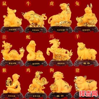虎猪狗笑龙是什么生肖？一动不动最正确生肖-第1张图片