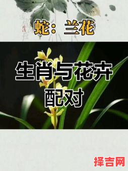 12生肖金花是什么？十二生肖哪个是金花-第1张图片