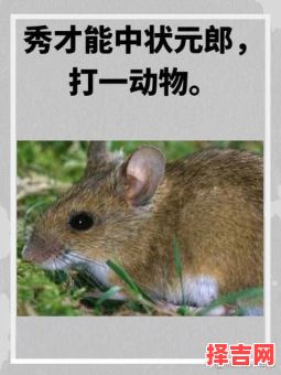 十二生肖最丑的是什么？最丑最老准确生肖-第1张图片