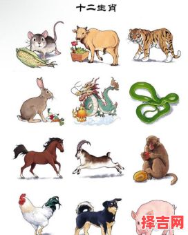 幸勤的动物是什么生肖？辛勤的生肖是哪几生肖-第1张图片