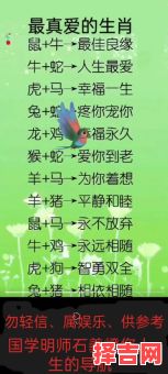 有爱的动物是什么生肖？最懂爱动物最佳答案-第1张图片