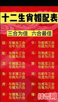 二八成双对是什么生肖？二八代表什么动物-第1张图片