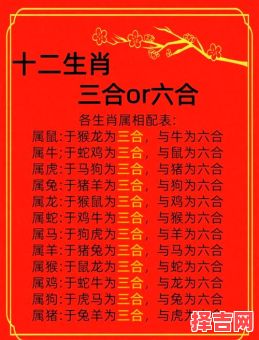 成群结队的生肖是什么？成群结队打一准确生肖-第1张图片