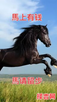 生肖马是什么样的人？哪个生肖最偏爱属马-第1张图片