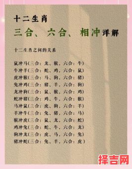 非同小可是什么生肖？非同小可最正确的生肖-第1张图片