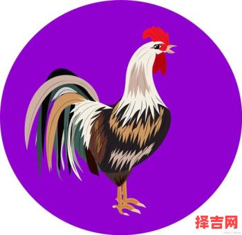 最有朝气的动物是什么生肖？有朝气动物谁是第一名-第1张图片