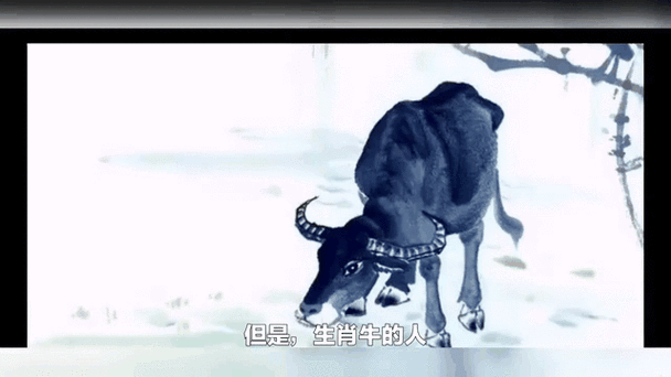 骑牛去化缘是什么生肖？和尚化缘打一最佳生肖-第1张图片