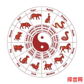 2017年阴肖是什么生肖?什么动物是阴肖-第1张图片 2017年阴肖是什么生肖?什么动物是阴肖-第1张图片