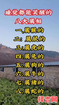 十八里路走是什么生肖？高速公路十八落是什么生肖-第1张图片