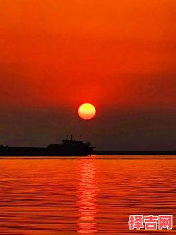 无忧夕阳红是什么生肖？夕阳无限近黄昏是什么生肖-第1张图片