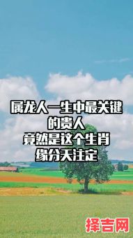 属龙的贵人是什么生肖？龙的贵人第一名是谁-第1张图片