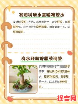 女孩种小树浇水是什么生肖？向河里泼水是什么生肖-第1张图片