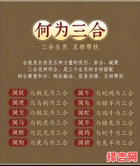 夫人合八数是什么生肖？夫人合八数代表什么数-第1张图片
