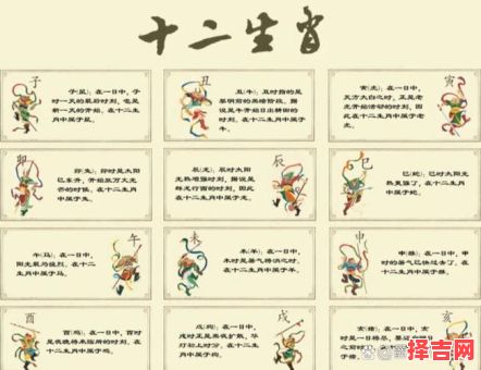 十二生肖的代号是什么？十二生肖全部代号总汇-第1张图片