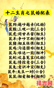 鼠最配的生肖是什么？96鼠跟什么属相配最好-第1张图片
