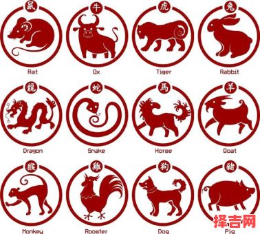 3只爪的是什么生肖?畜中只有三只爪数字-第1张图片 3只爪的是什么生肖?畜中只有三只爪数字-第1张图片