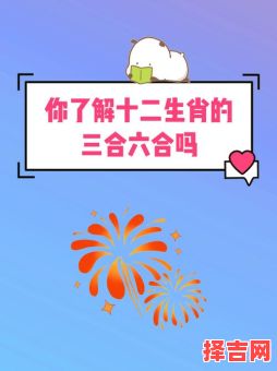 属猪三合生肖是什么？生肖猪的三合属相-第1张图片