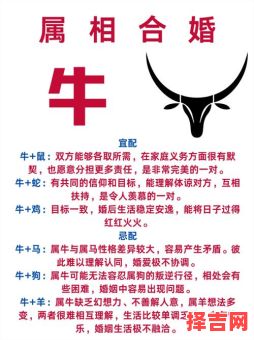 欲钱买像牛似马的生肖是什么生肖？无钱莫买牛羊马一肖-第1张图片