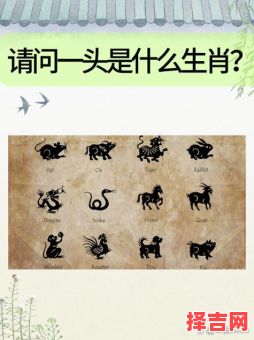 日出朝霞五六时是什么生肖？看日出指什么生肖-第1张图片