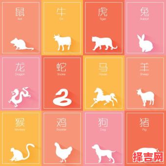 一正一反是什么生肖？反正是打一准确生肖-第1张图片