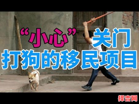 关上门打狗是什么生肖？关门打狗12生肖中指什么动物-第1张图片