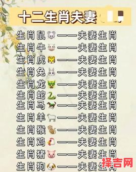 另一半是什么生肖？男朋友是什么生肖-第1张图片