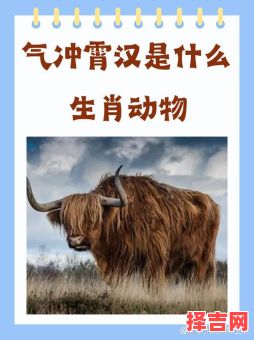 还凭劳苦创辉煌是什么生肖？还凭劳苦创辉煌指什么动物-第1张图片