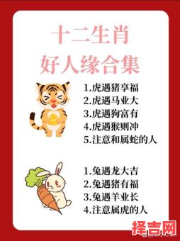 偷鸡摸狗是什么一生肖？偷鸡摸狗是指哪一肖-第1张图片