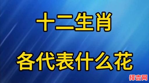 十二生肖分别是什么花？十二生肖对应哪种花-第1张图片