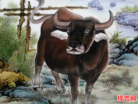 钻地它第一是什么生肖？钻地最厉害是什么生肖-第1张图片