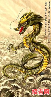 九龙山水是什么生肖？水打一生肖是什么动物-第1张图片