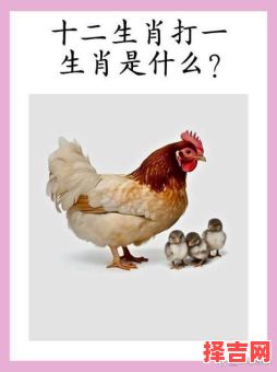 十年一遇是什么生肖？遇打一生肖动物-第1张图片