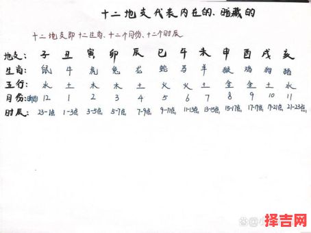 地支排第一是什么生肖？十二生肖哪几肖是地支-第1张图片