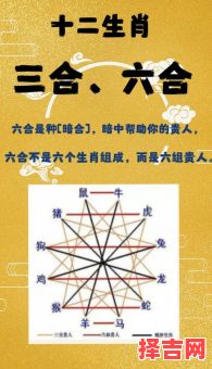 三分像人是什么生肖？十二生肖哪个最像人类-第1张图片