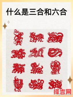 欲钱猪鸡狗是什么生肖？猪左鸡右酉中间猜一肖-第1张图片