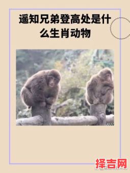 无奈还须揾两餐是什么生肖？无可奈何打一个生肖-第1张图片