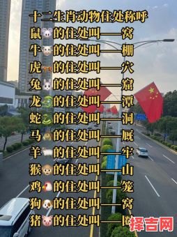 南风吹过芳草绿是什么生肖?踏破平原芳草绿生肖-第1张图片 南风吹过芳草绿是什么生肖?踏破平原芳草绿生肖-第1张图片