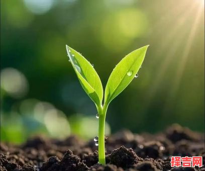 小草发芽有五来是什么生肖?坪中小草发新苗是什么生肖-第1张图片 小草发芽有五来是什么生肖?坪中小草发新苗是什么生肖-第1张图片