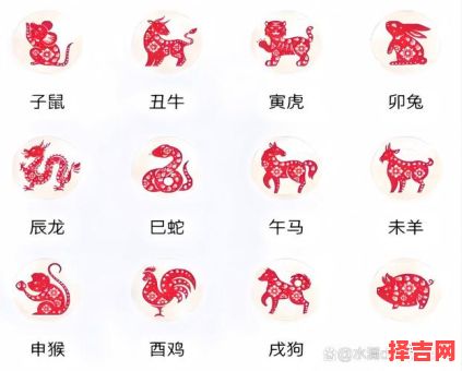 我哥叫王金木是什么生肖?一哥是什么生肖-第1张图片 我哥叫王金木是什么生肖?一哥是什么生肖-第1张图片