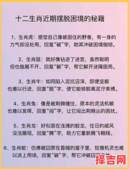 一身细毛卷卷来是什么生肖？卷卷毛的生肖-第1张图片