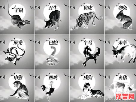 不三不四的生肖是什么？不三不四代表什么生肖-第1张图片